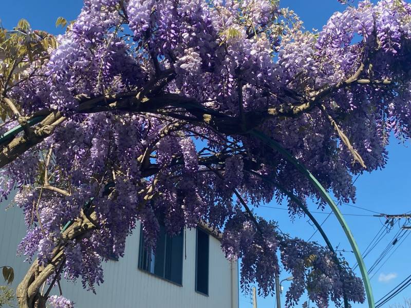 Maison à vendre vue mer
